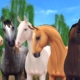 star_horses